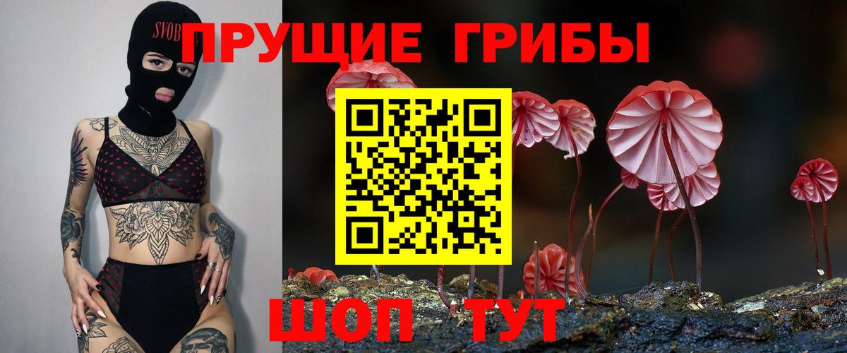 Ливны  Псилоцибиновые грибы мухоморы  Галлюциногенные грибы GOLDEN TEACHER  Вход с VPN 